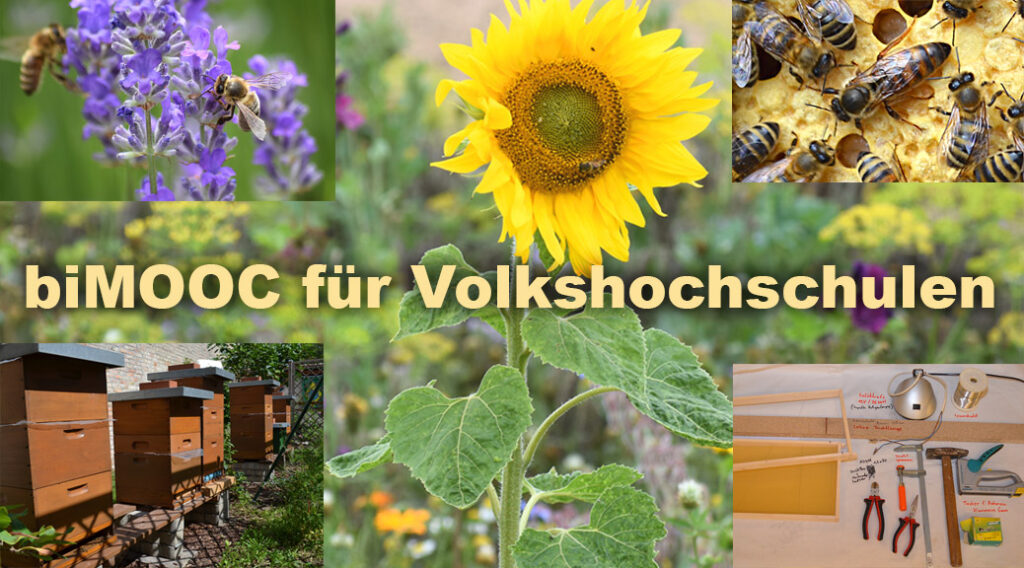 biMOOC für Volkshochschulen Bienen Imkerei